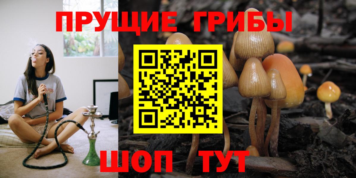 Галлюциногенные грибы Magic Shrooms  Галлюциногенные грибы Magic Shrooms  Вход с VPN  Кунгур 