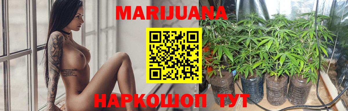 Марихуана OG Kush Кунгур